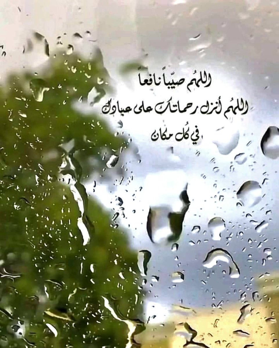 Usama Elsharif tweet media
