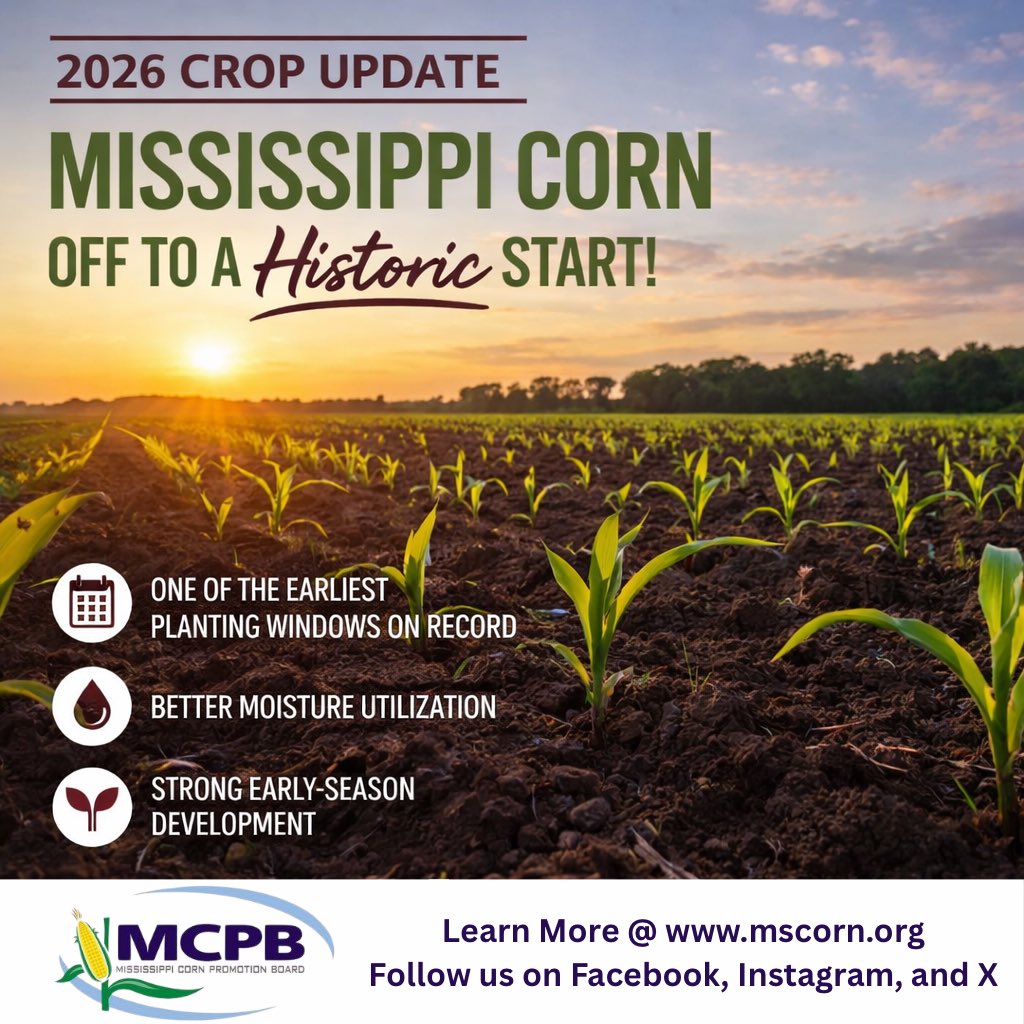 Mississippi Corn Promotion Board (@MississippiCorn) / Posts / X