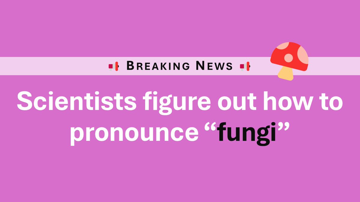 jan_corro's tweet photo. Did you hear that scientist find out how to pronounce "fungi"?

https://t.co/QXePEujPQB https://t.co/Ai6SNHmZwI