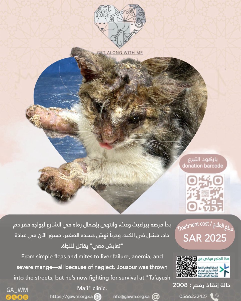 جمعية تعايش معي للرفق بالحيوان tweet media