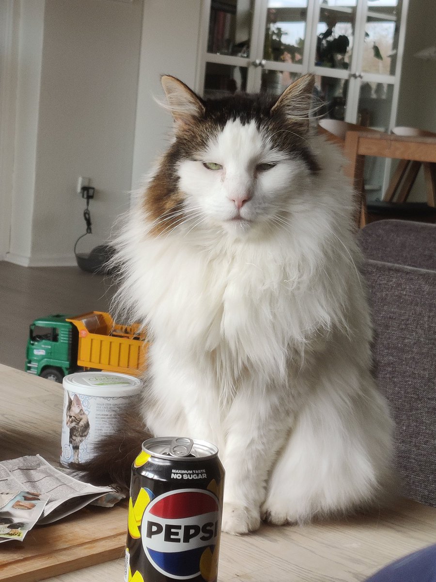 fluffy Proppy tweet media