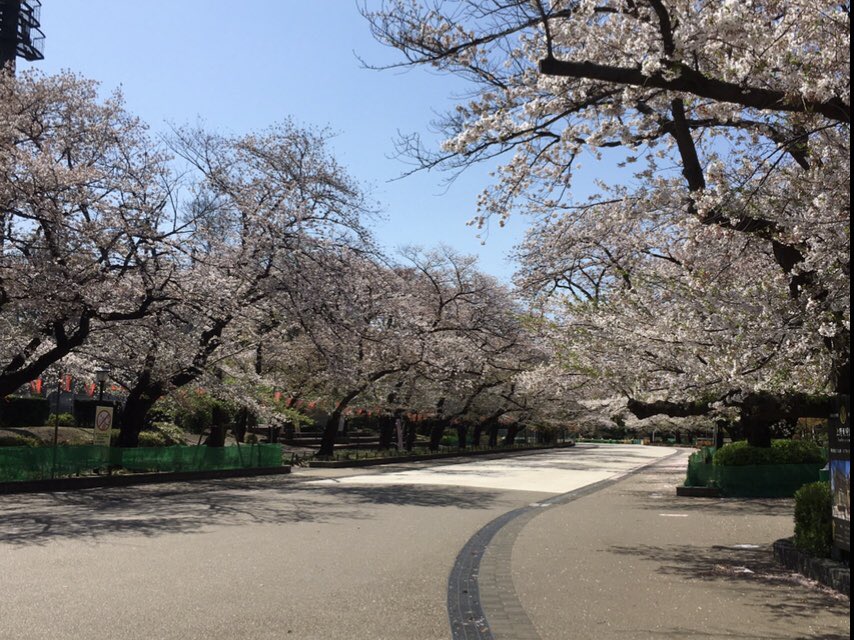 jun@everming.aizu tweet media