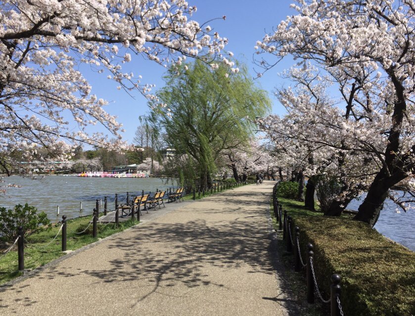 jun@everming.aizu tweet media