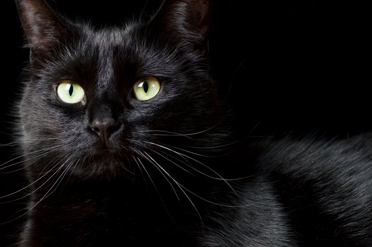 Suhail Al-Darraj | سهيل الدراج tweet media