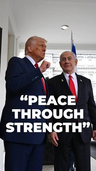 Austin.O tweet media