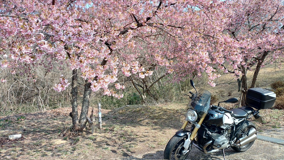 Hsmasa2's tweet photo. #これを見た人は愛車の背景が桜の画像を貼れ https://t.co/B56ayH1CSx