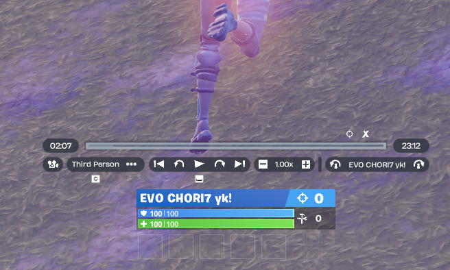 Chorifletes tweet media