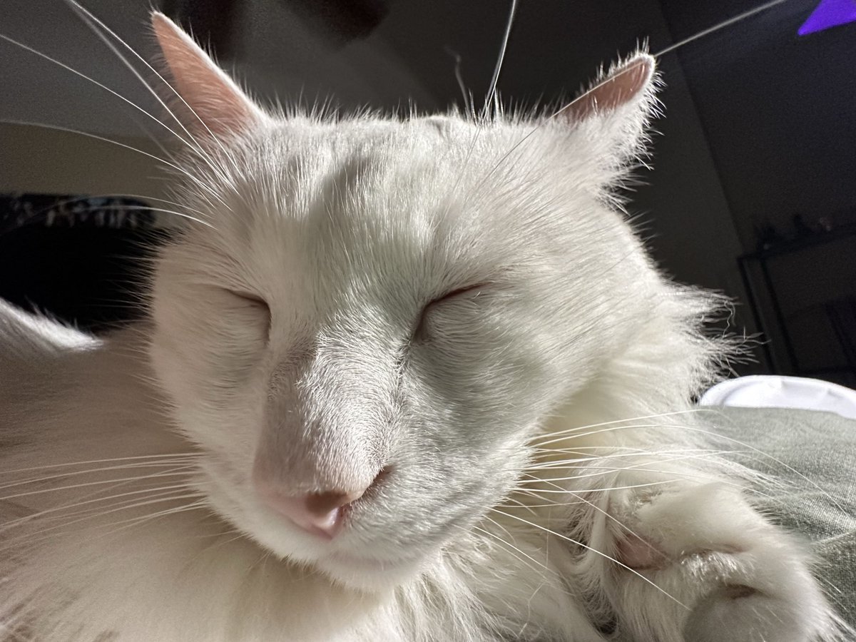 MSI Gaming USA tweet media