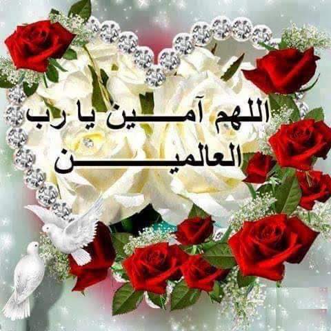 سلطان tweet media