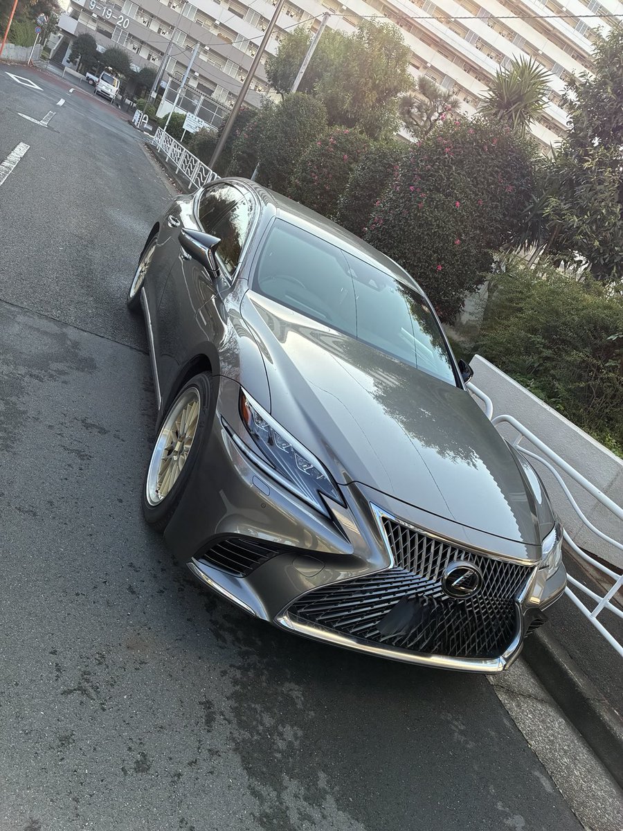 ブイ蜂 tweet media