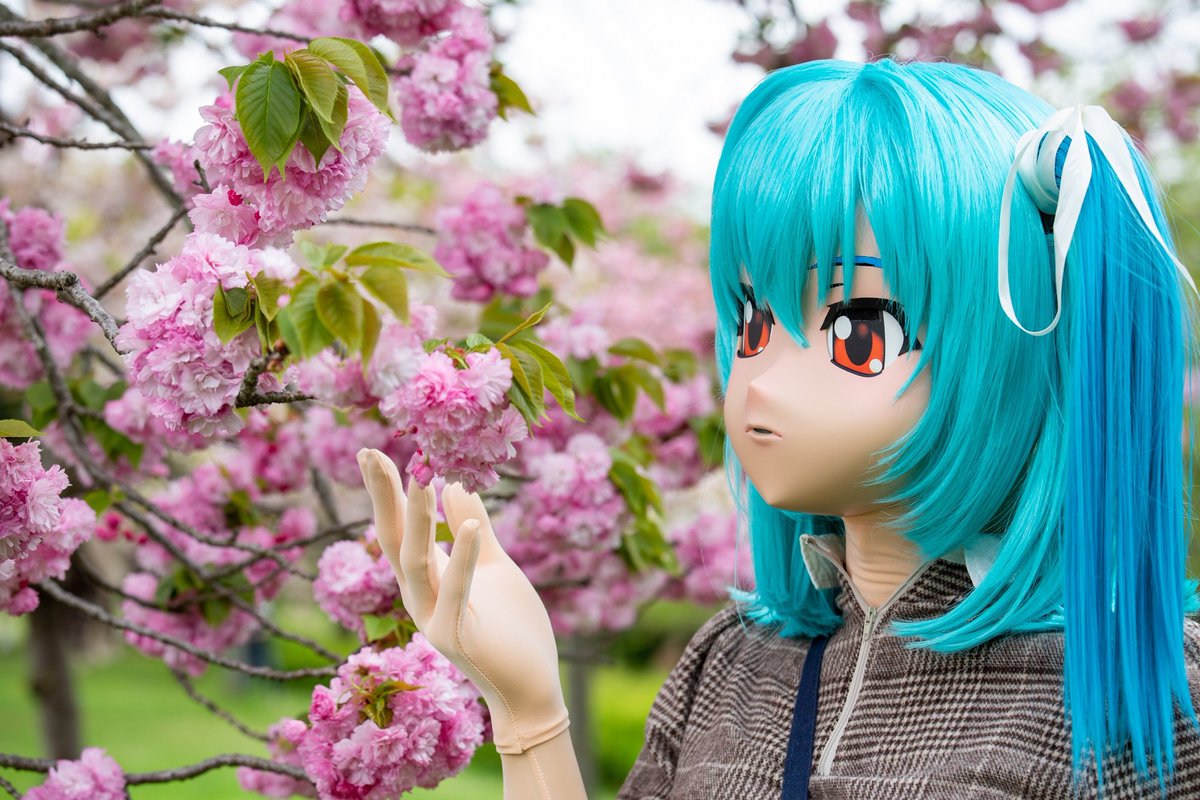 ﾘﾌﾞﾚ tweet media