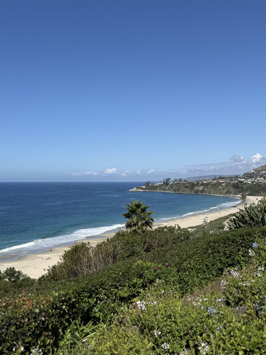 Duygusalogist tweet media