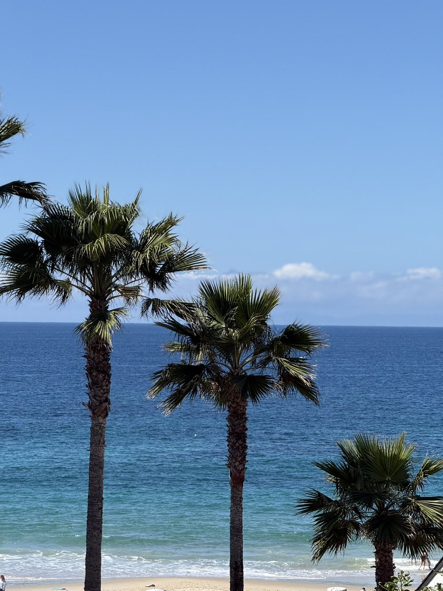 Duygusalogist tweet media