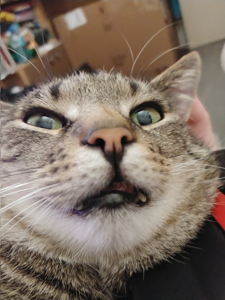 will.s 🧻🪈 tweet media