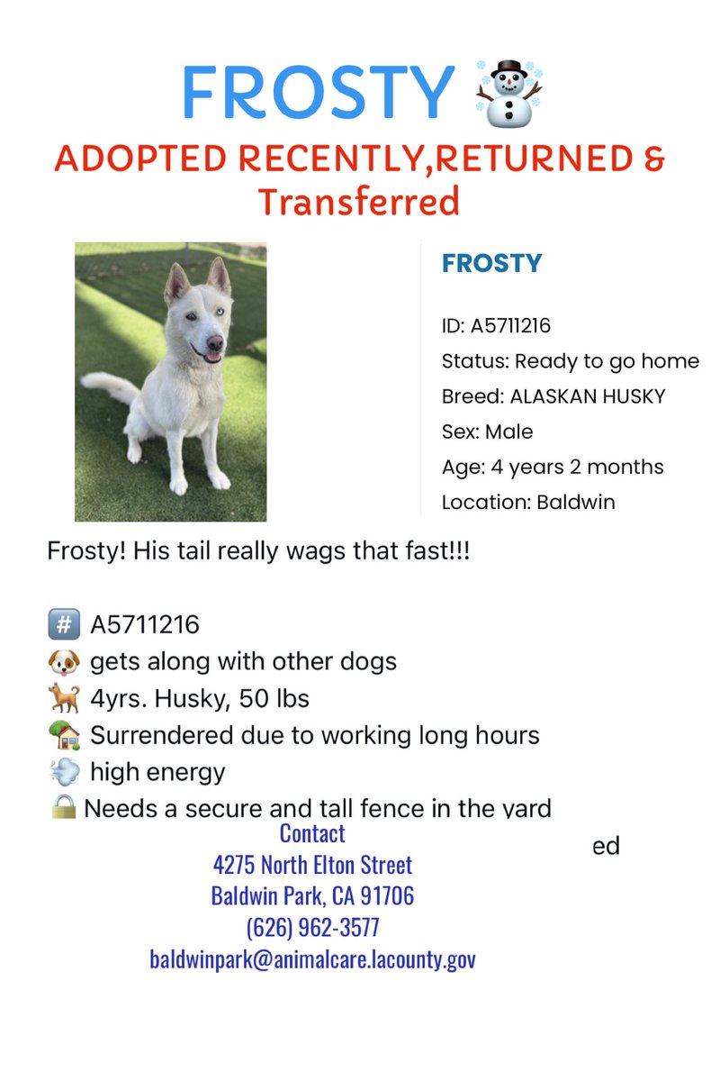 Sarah jane Gillespie tweet media