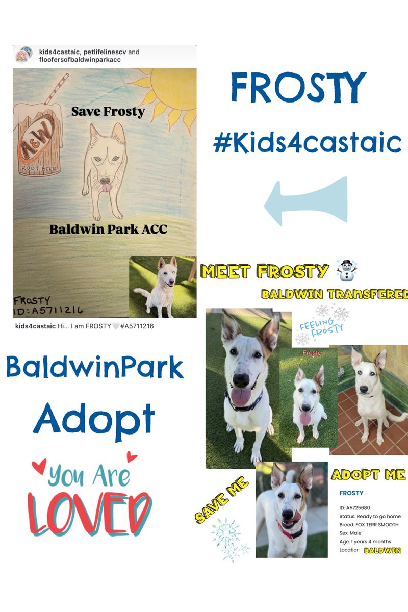 Sarah jane Gillespie tweet media