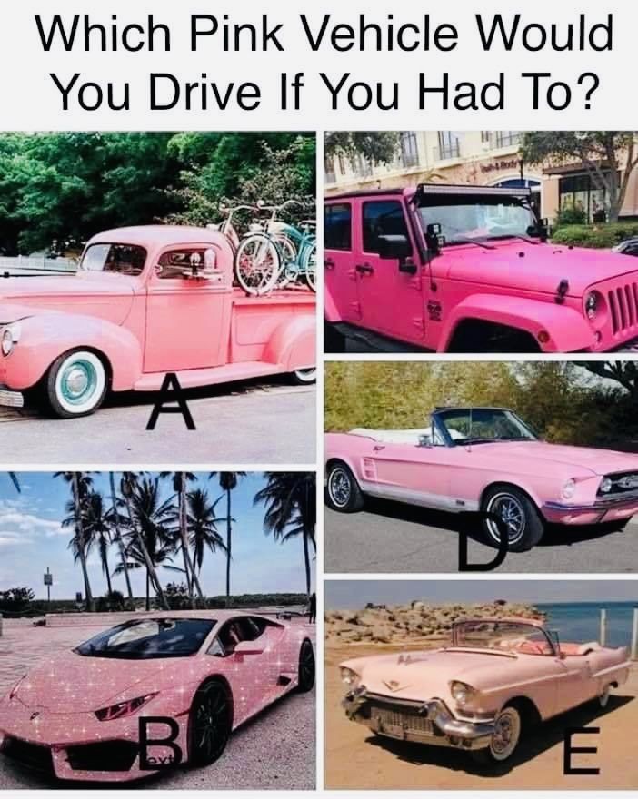 CONQUERtheNO.org 🫶🏽 tweet media