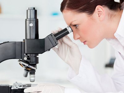 Rogelio Guilherme 🏳️‍🌈 tweet media