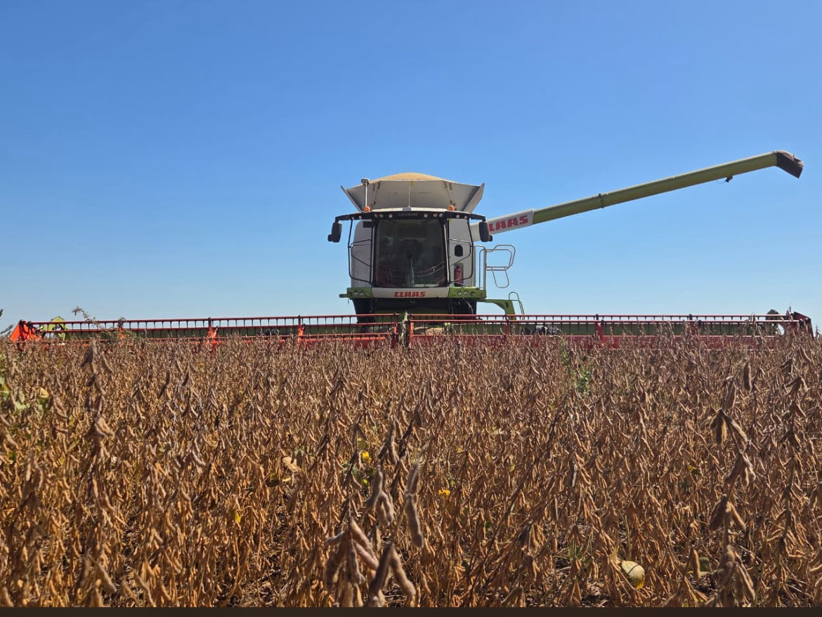 Martín Gergolet tweet media