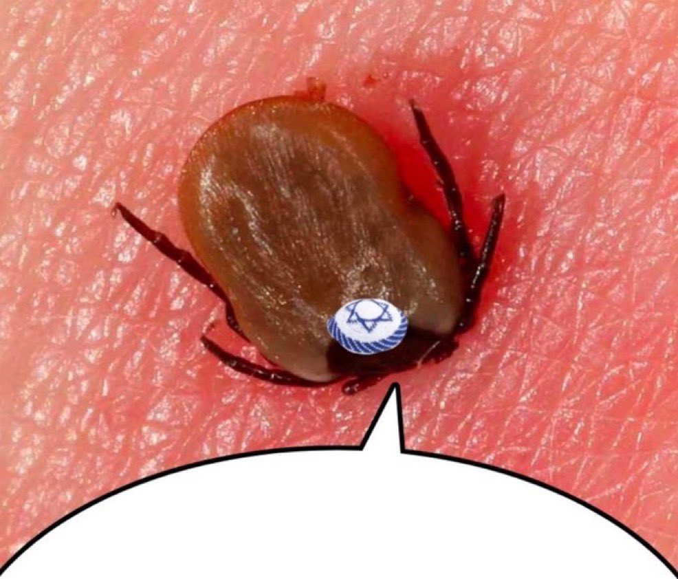 Yon Duros 2 tweet media