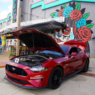 OWA Parks & Resort tweet media