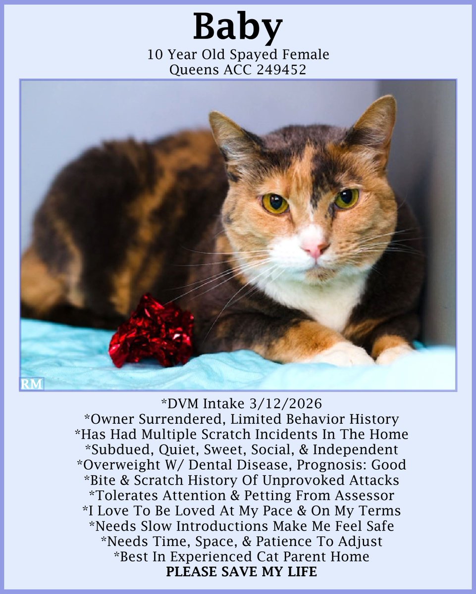 Renee' Martin tweet media