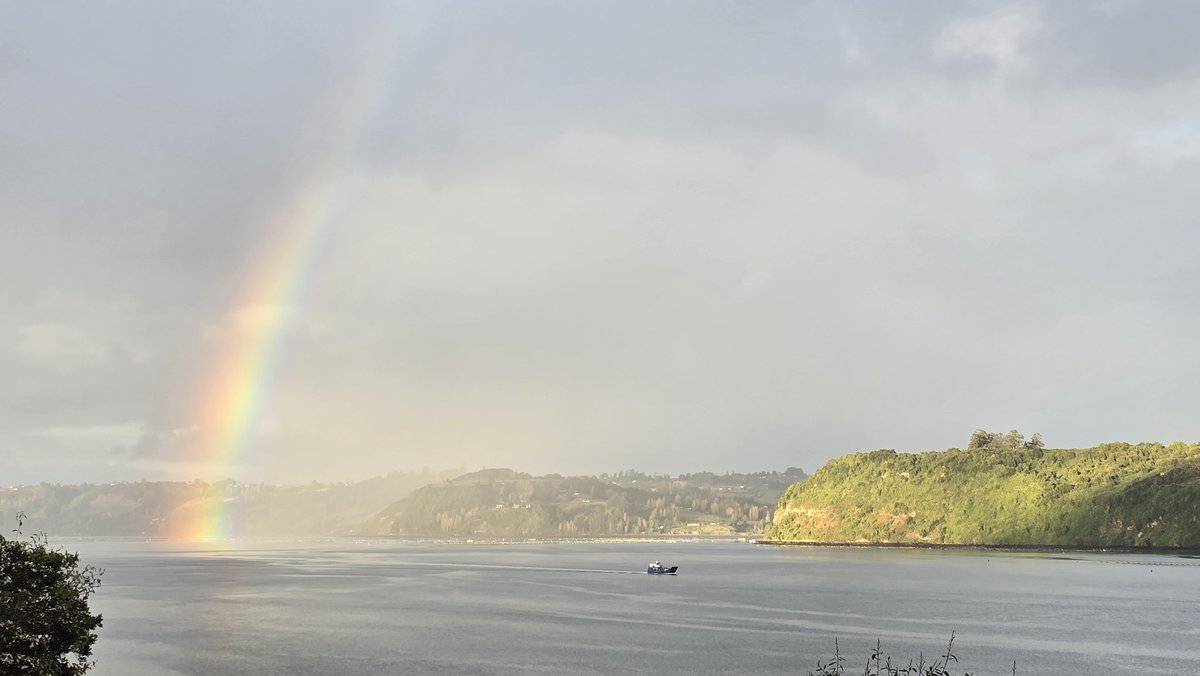 Mientras el Artemis II se prepara para salir de la atmosfera terrestre... en esta parte del planeta la cosa está asi....
