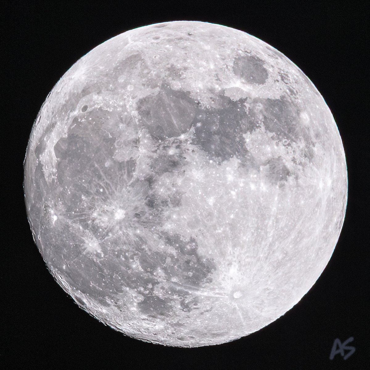 Andy Spessard tweet media