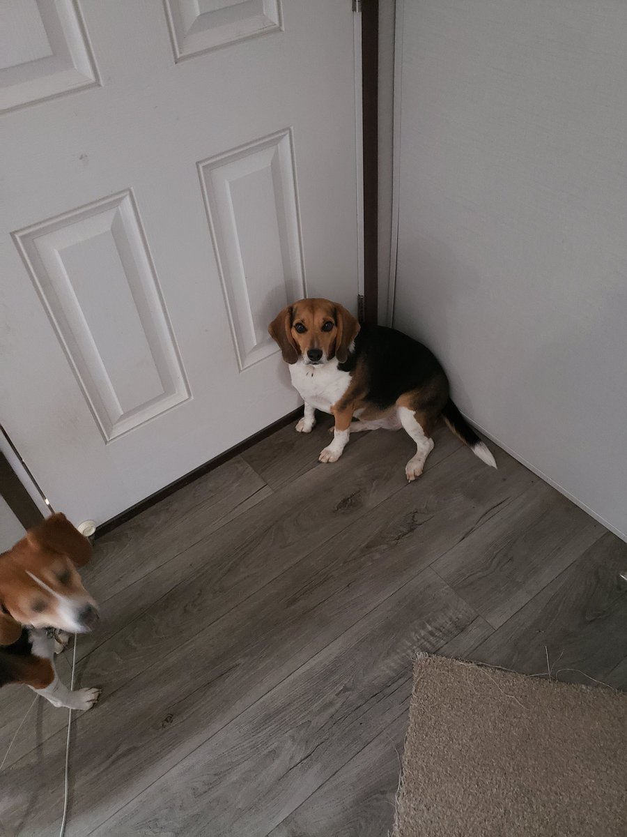 James E Bringelson tweet media