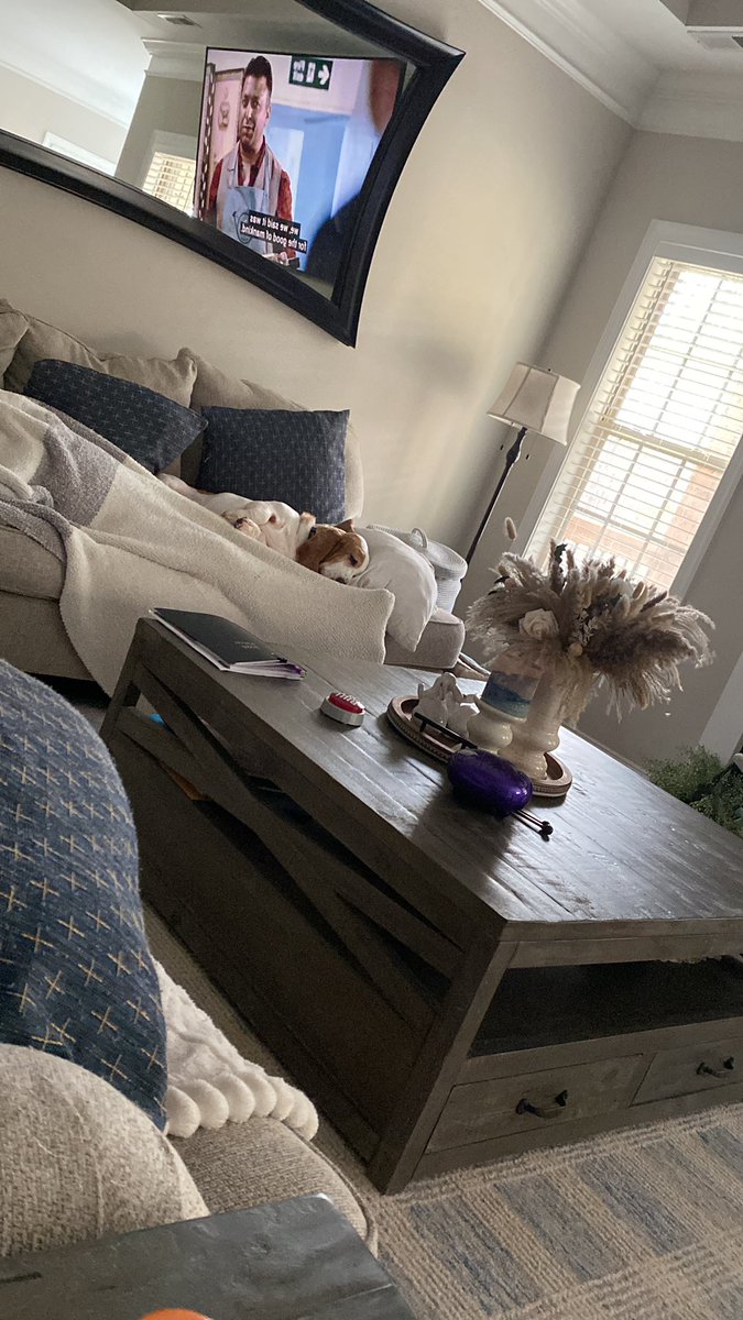 Rhonda and Bryan Harding with Donald and Bella 💜 tweet media