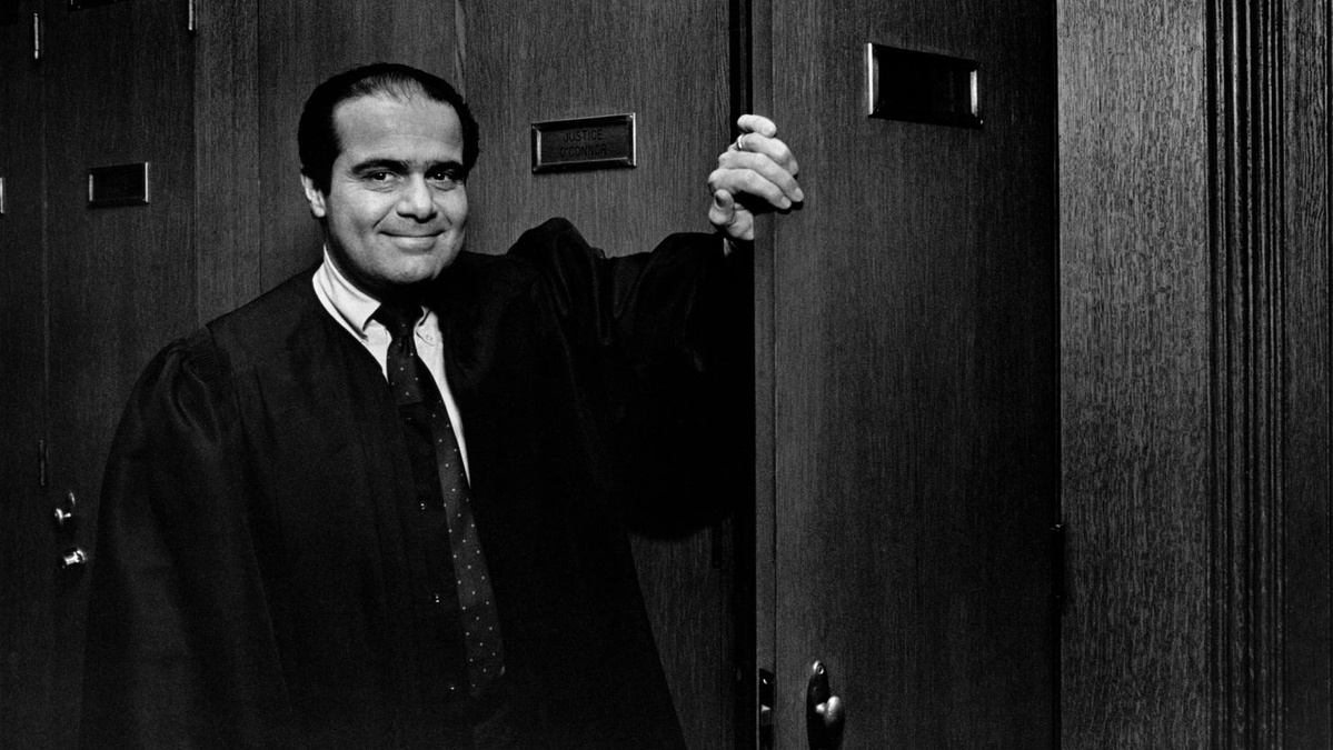 Damin Toell tweet media