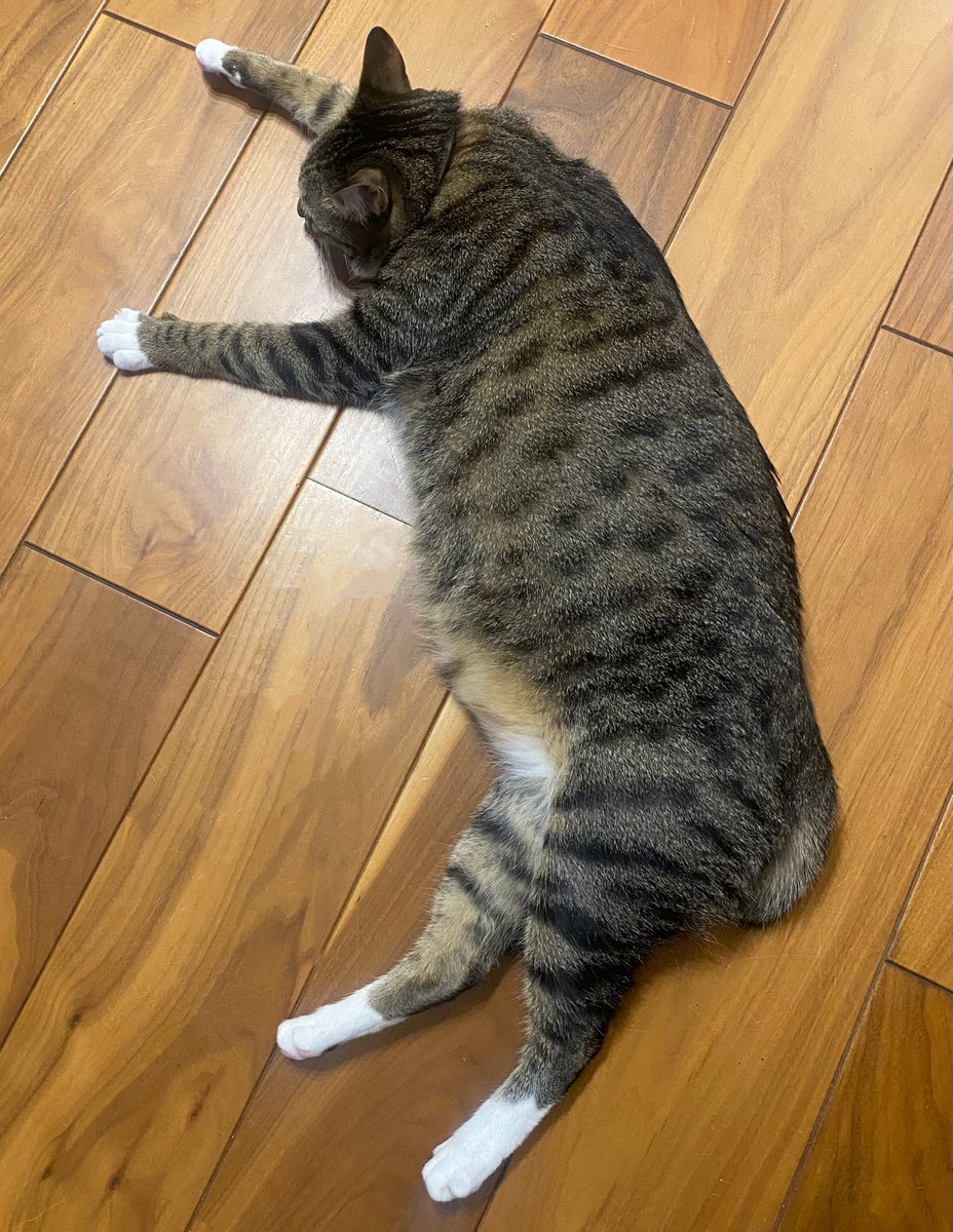 編集やまみ tweet media