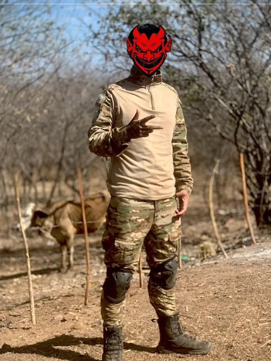 El Blog del Narco tweet media