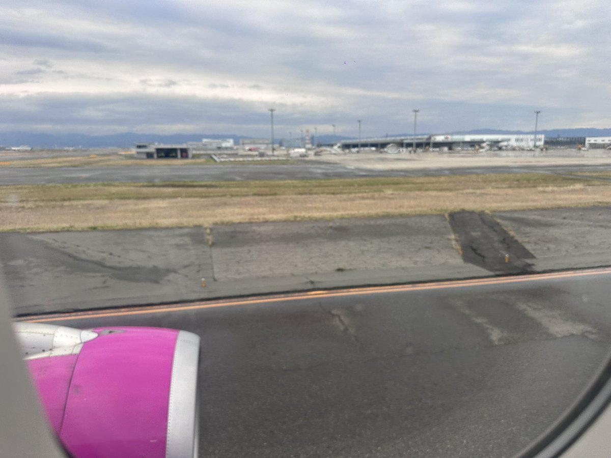 崔領二　(サイリョウジ) tweet media