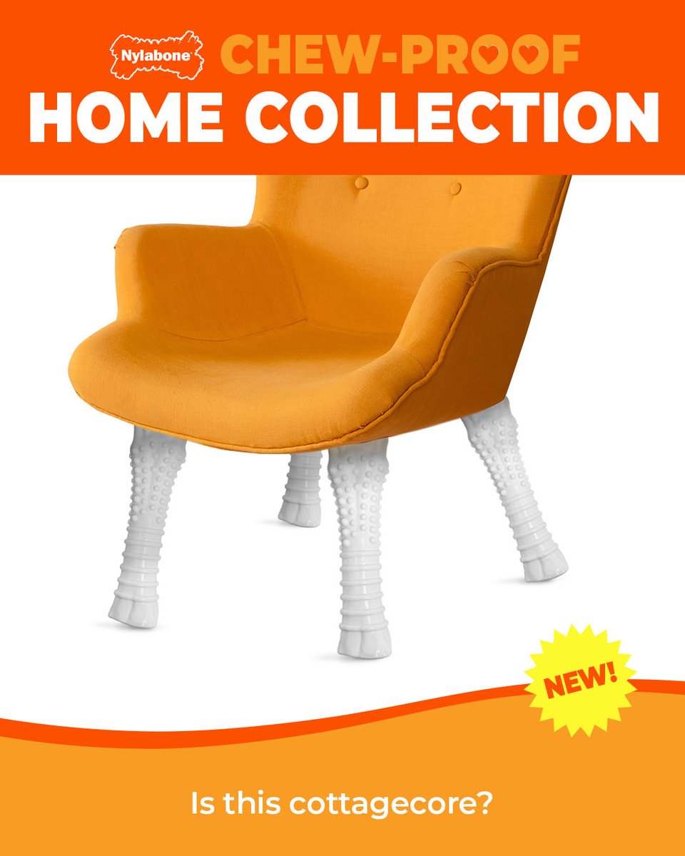 Nylabone Products tweet media