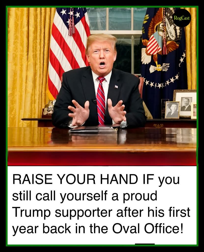 Sassafrass84 tweet media