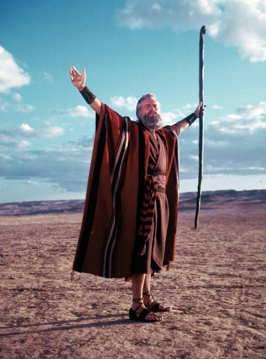 Orlando Petinatti tweet media