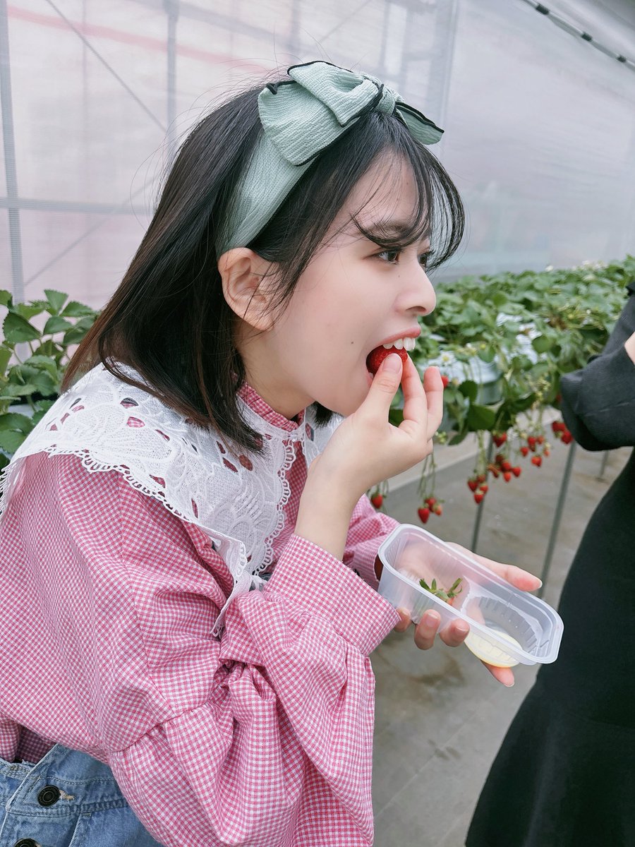 かすやまい (糟谷舞) tweet media