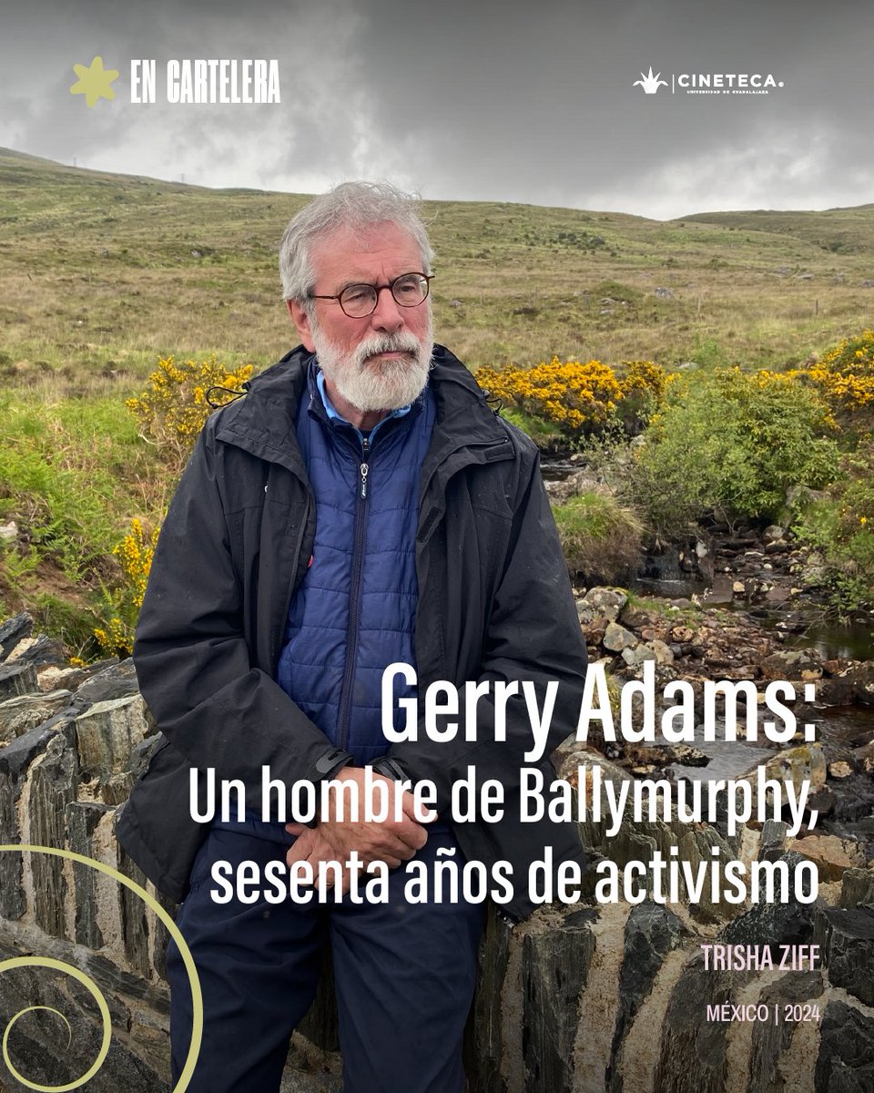 Cineteca FICG tweet media