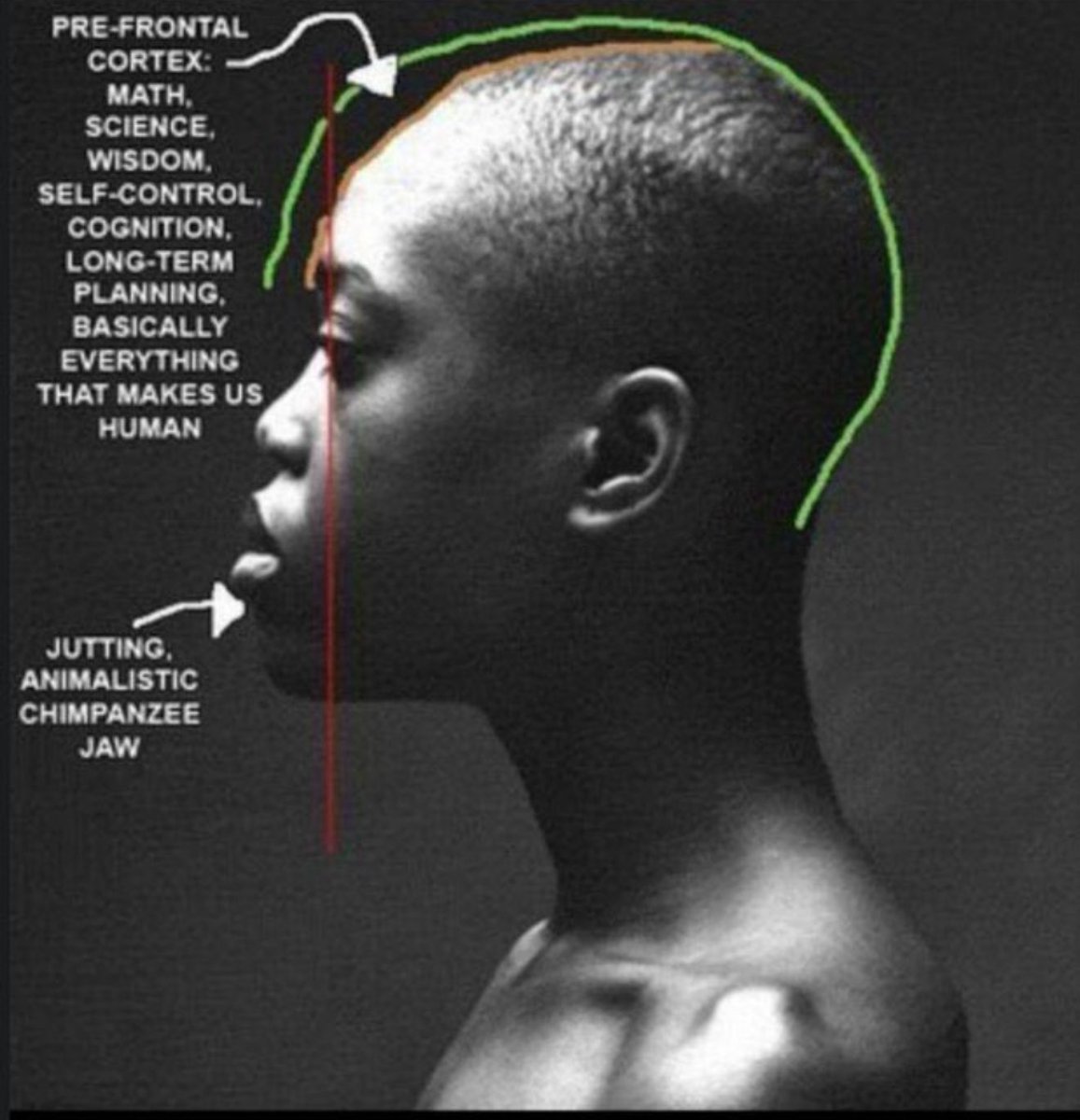 terrence bernard tweet media