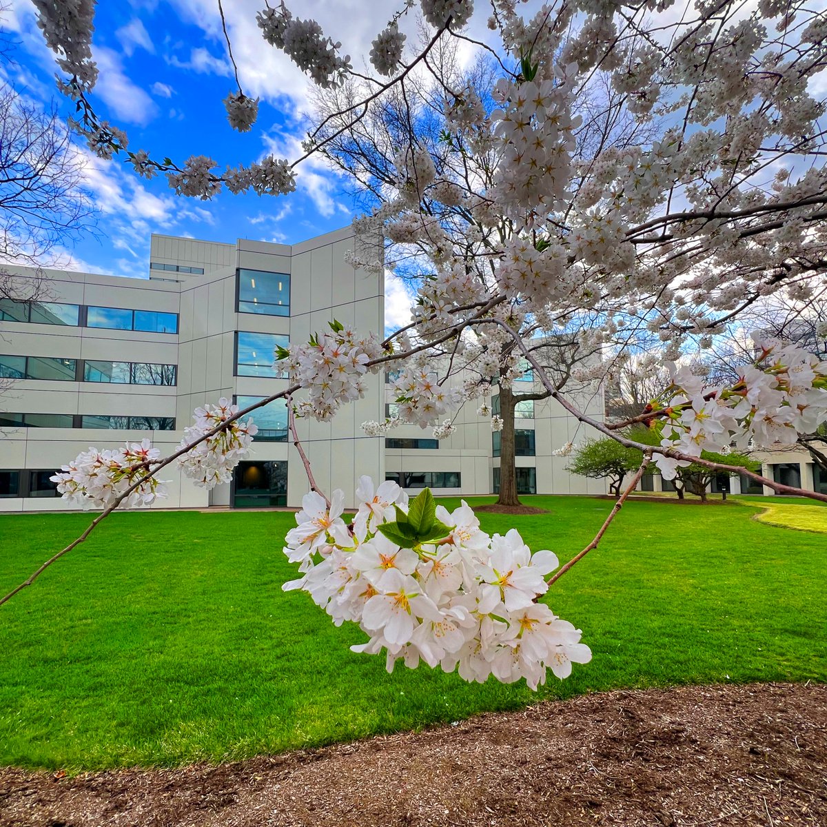 brice hammack tweet media