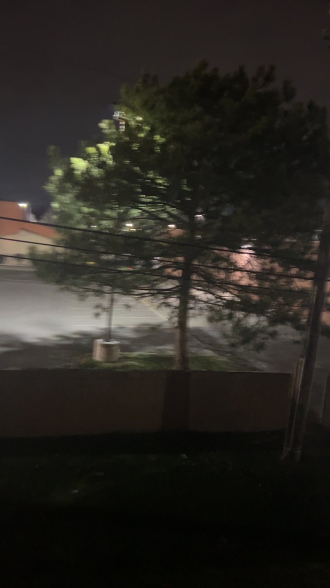 qapoypg's tweet photo. Where I grew up, trees are cut down for McMansions
Man this shit is elementary
Shouldn’t be this hard to talk with land spirits
It is

Biodiversity is wealth, if it’s not protected national security is at risk

Do our leaders understand this? Do they serve our interests?

#vss365 https://t.co/9i7b85Z7ck