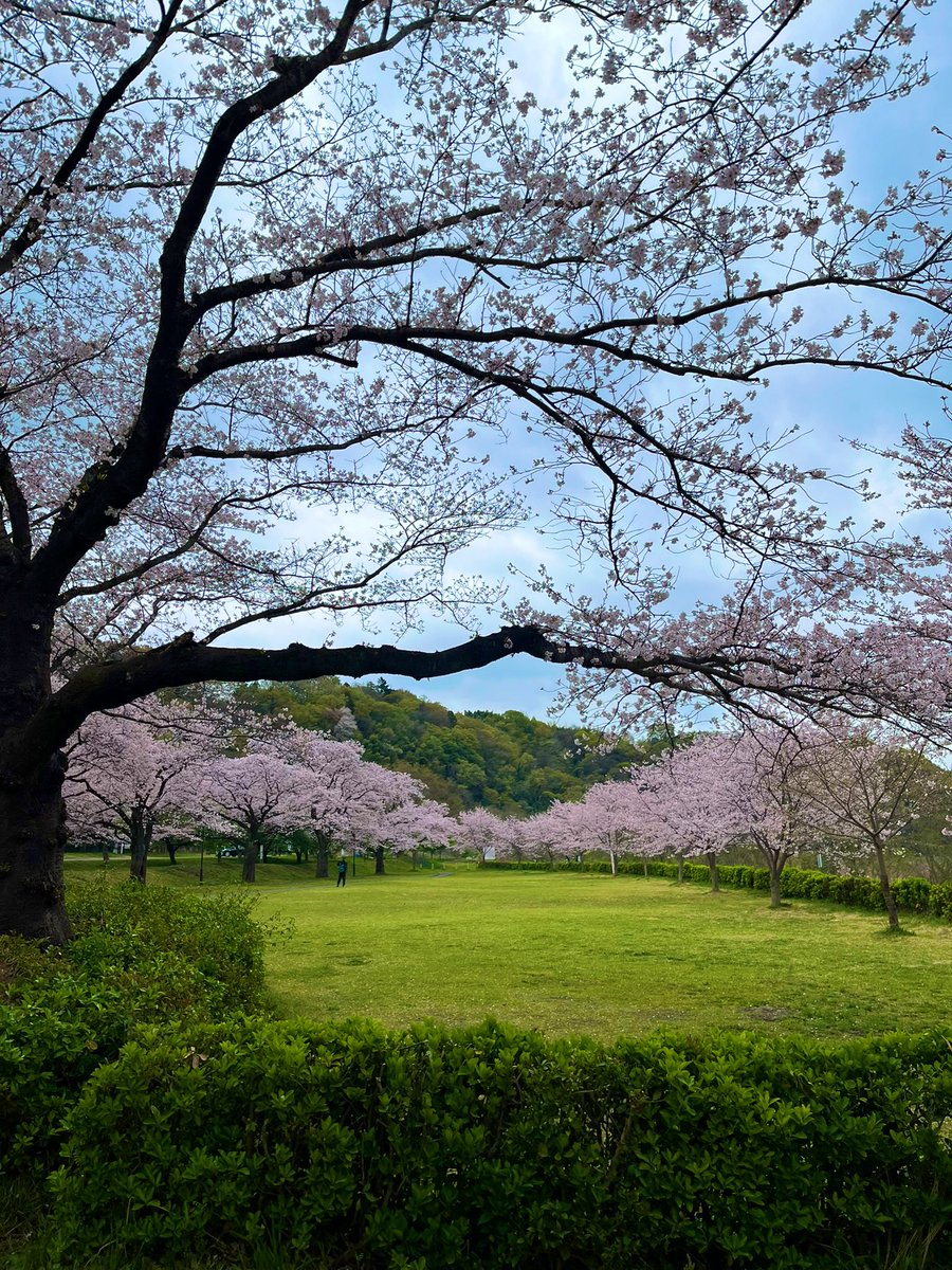 ANA💍アナ tweet media