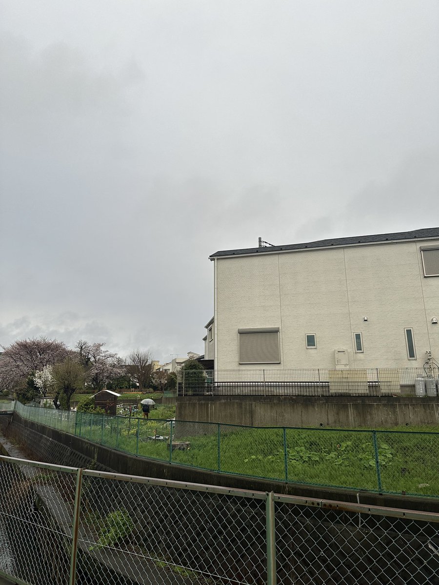 くまごろう tweet media