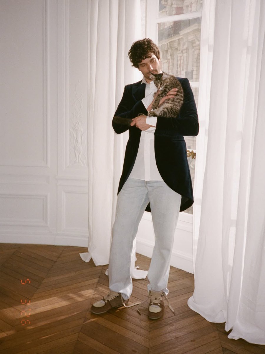 paul kelly daily tweet media