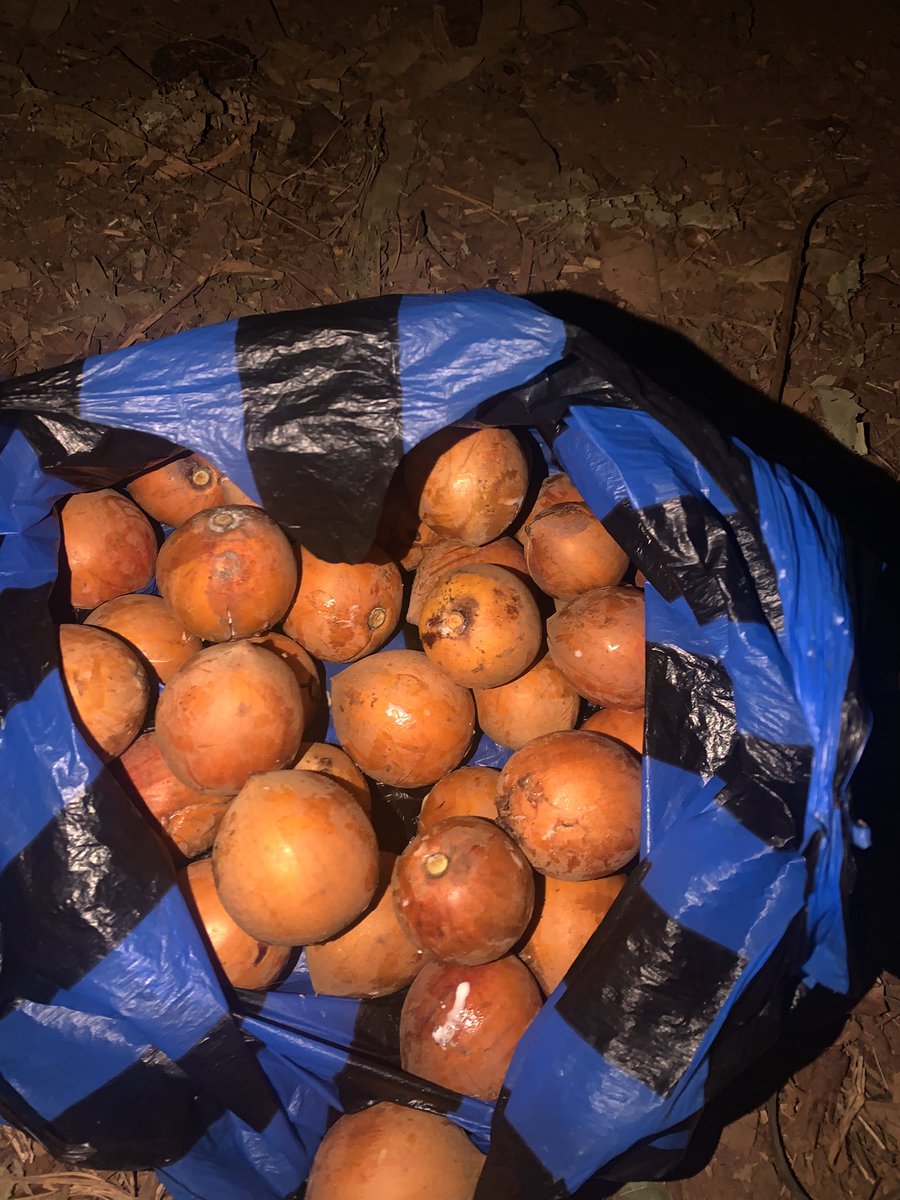 POOR MAN PIKIN tweet media