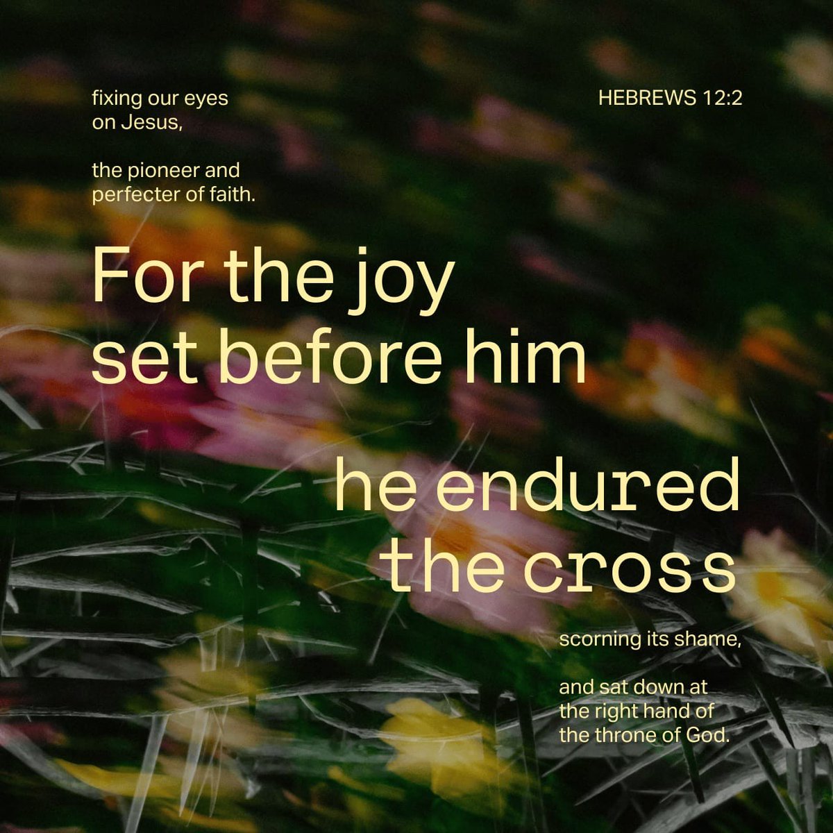 Grace Street Church tweet media