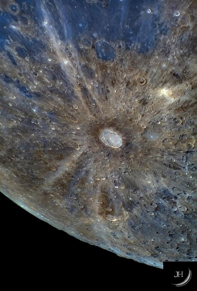 Clinton Colasanti 🇺🇸 tweet media