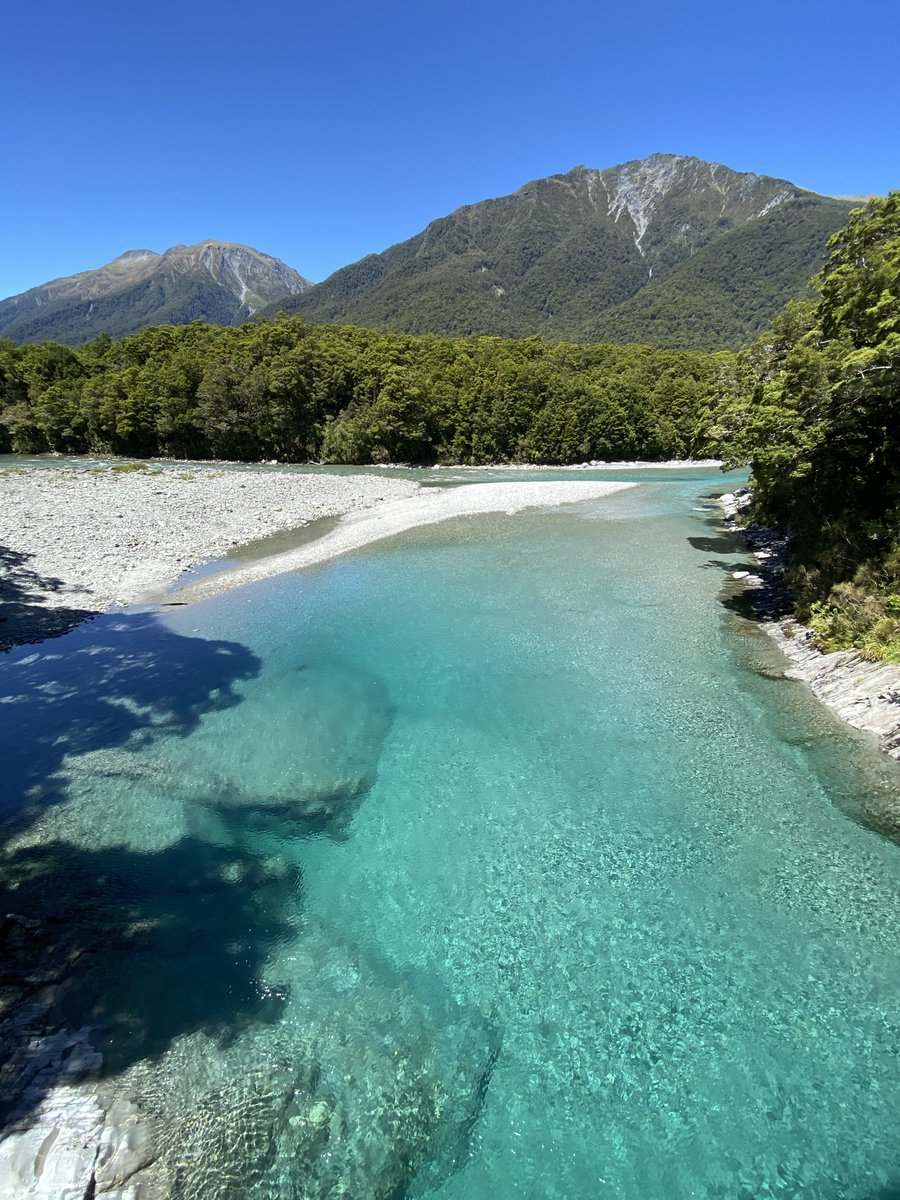 Jaylene🐰 tweet media