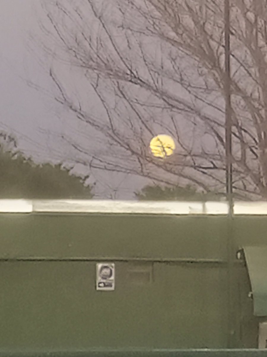 LUIS PABLO 🇦🇷 tweet media